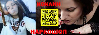 стафф Кингисепп