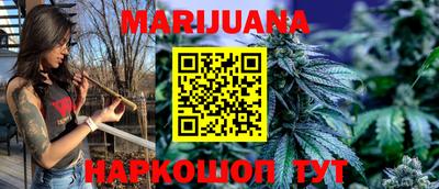 стафф Кингисепп