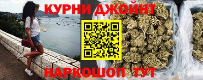 стафф Кингисепп