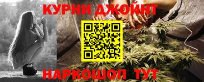 стафф Кингисепп