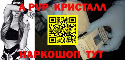 стафф Кингисепп