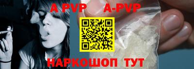 стафф Кингисепп
