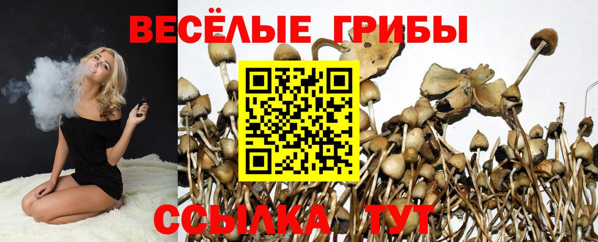 Костомукша  Псилоцибиновые грибы GOLDEN TEACHER  Вход с VPN  Псилоцибиновые грибы ЛСД 